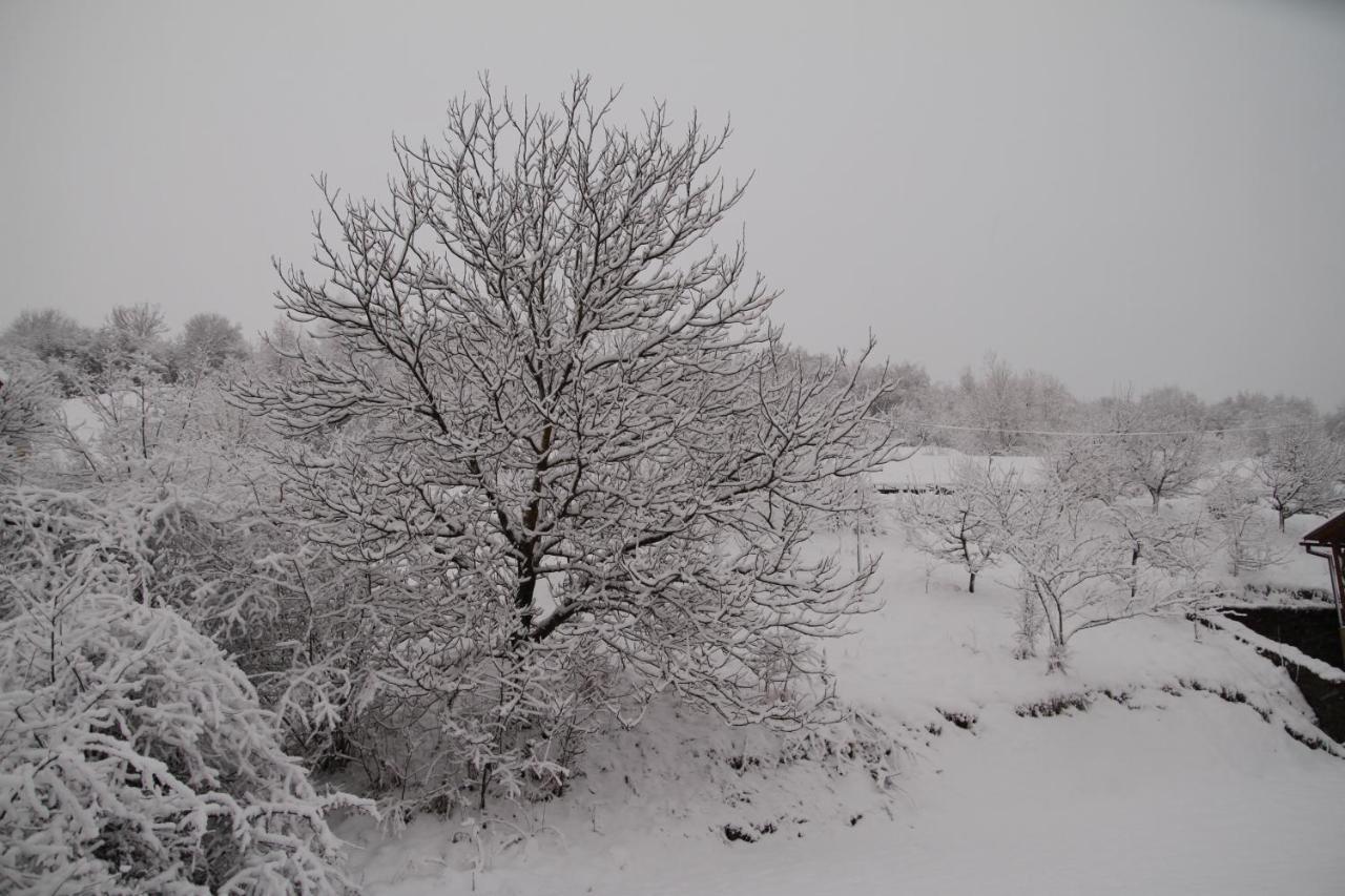 Купецький Двір Mizhhirya (Transcarpathia) Exterior foto