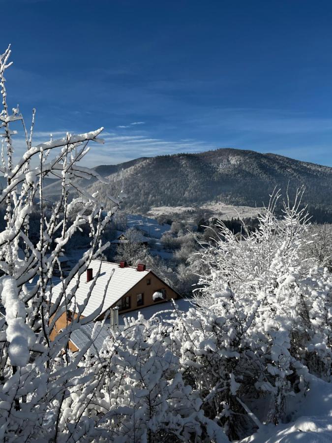 Купецький Двір Mizhhirya (Transcarpathia) Exterior foto