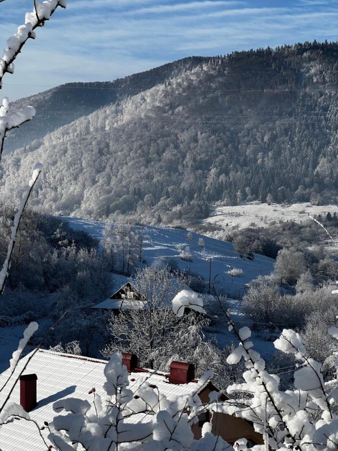 Купецький Двір Mizhhirya (Transcarpathia) Exterior foto