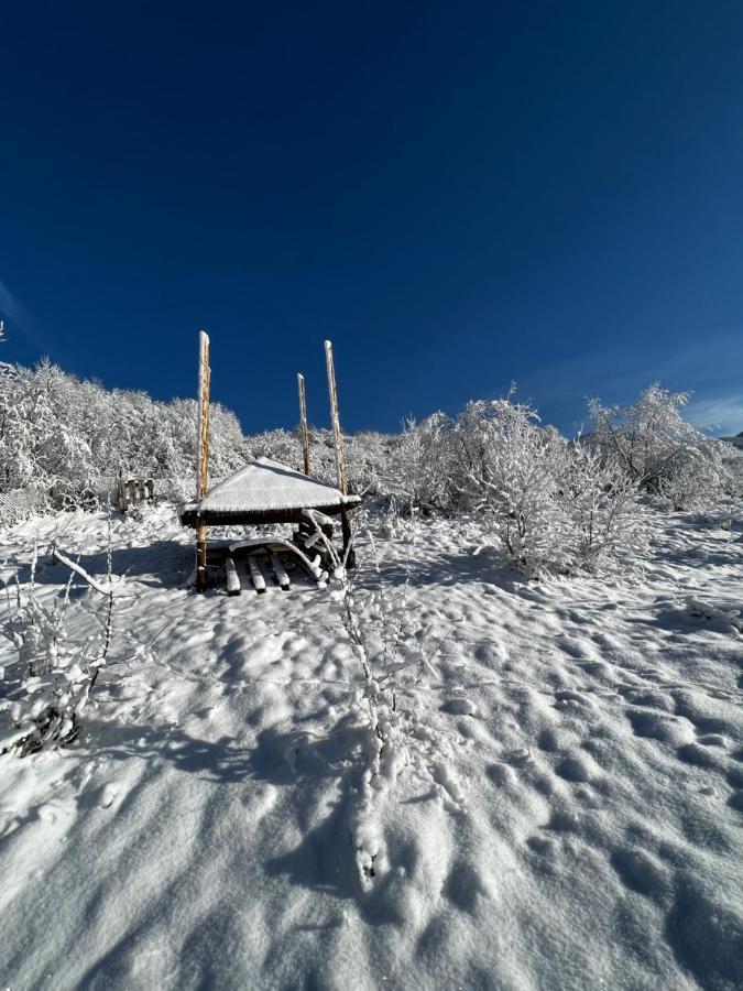 Купецький Двір Mizhhirya (Transcarpathia) Exterior foto