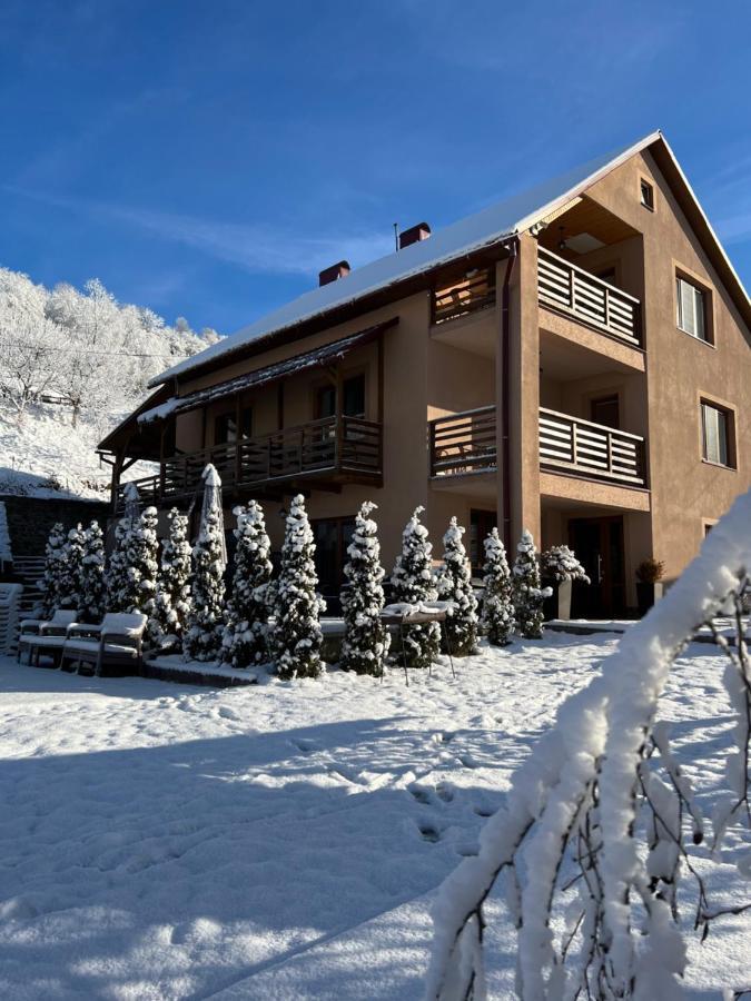 Купецький Двір Mizhhirya (Transcarpathia) Exterior foto